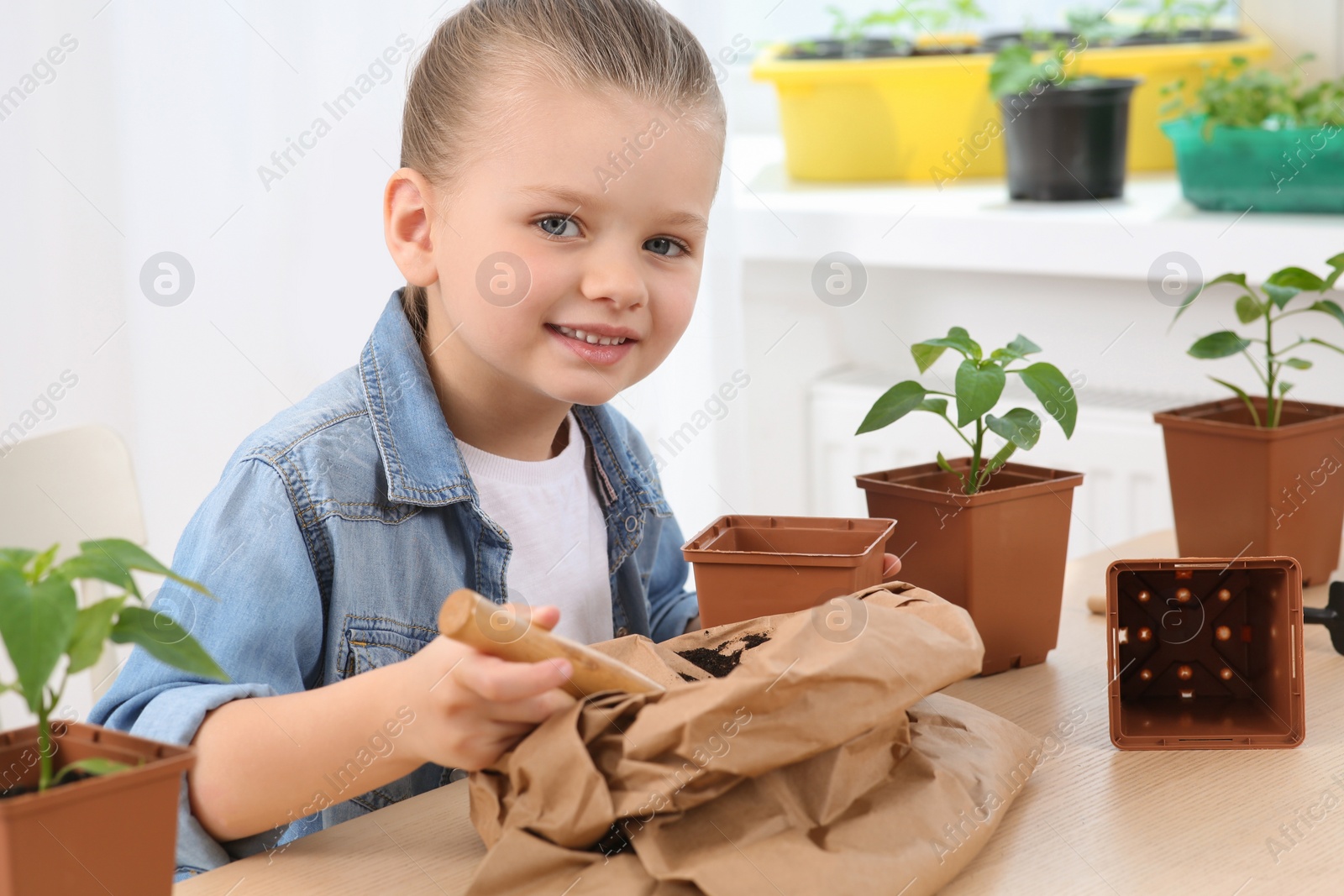 Photo of Cute little girl planting seedling into pot at wooden table indoors