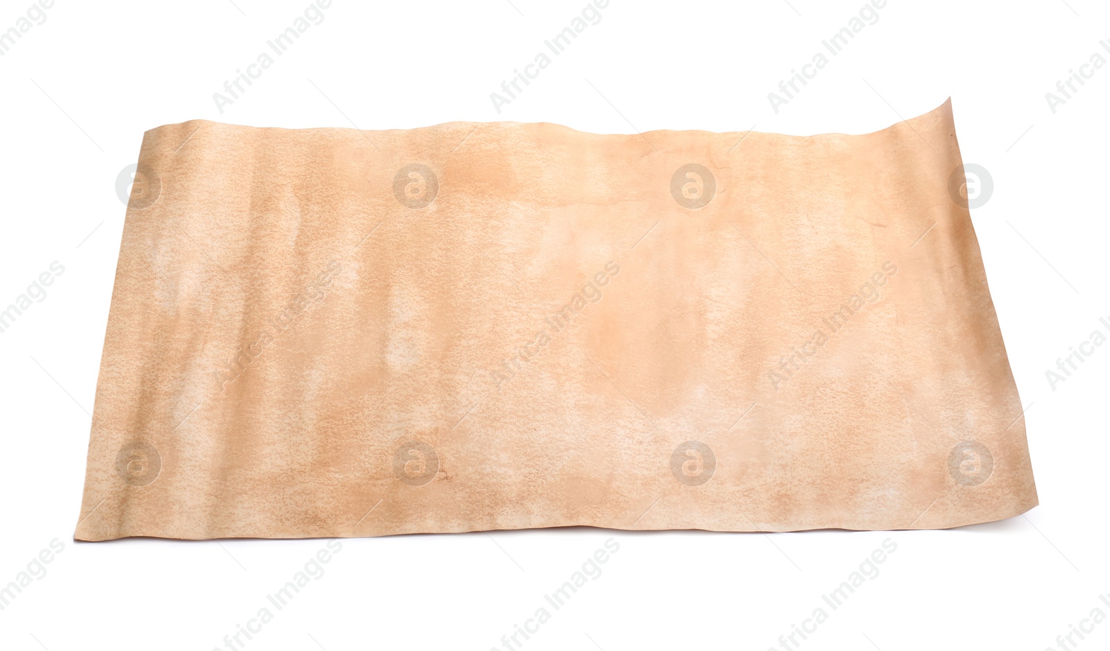 Photo of Blank sheet of old parchment paper on white background