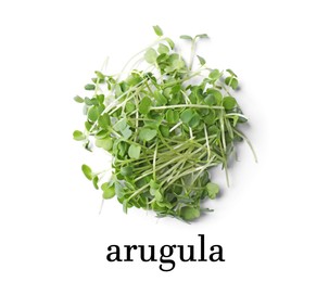 Image of Pile of fresh microgreen isolated on white, top view