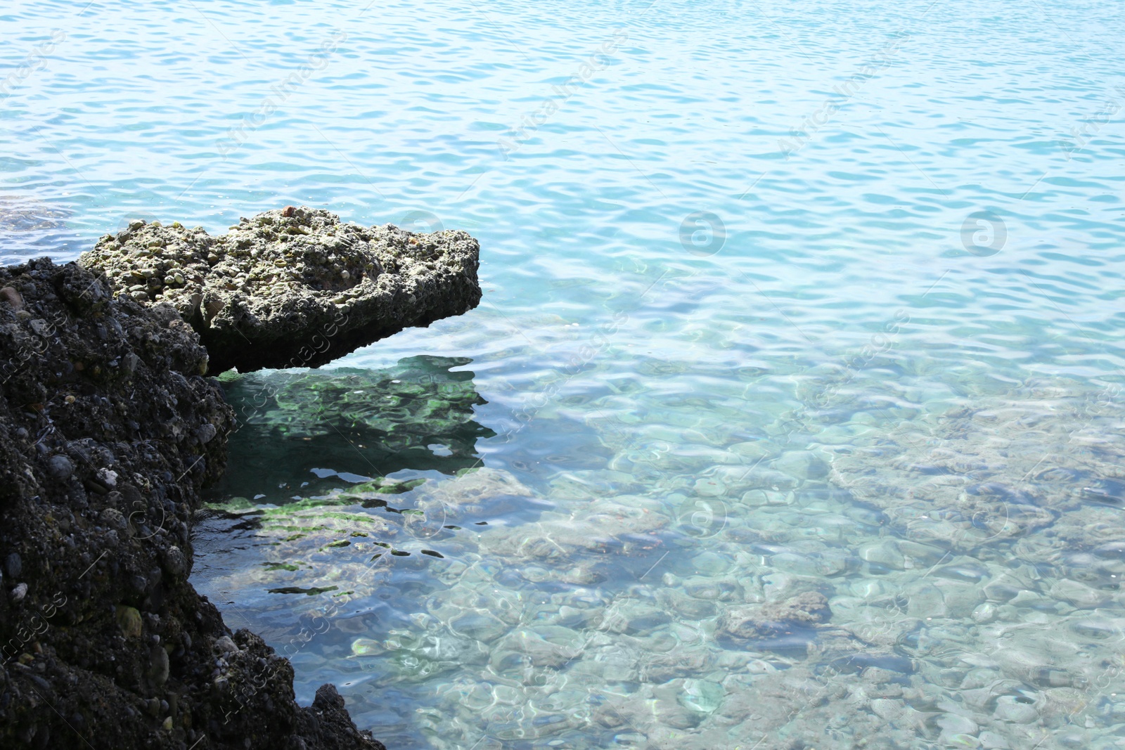 Photo of Beautiful view of rocky sea coast on sunny summer day