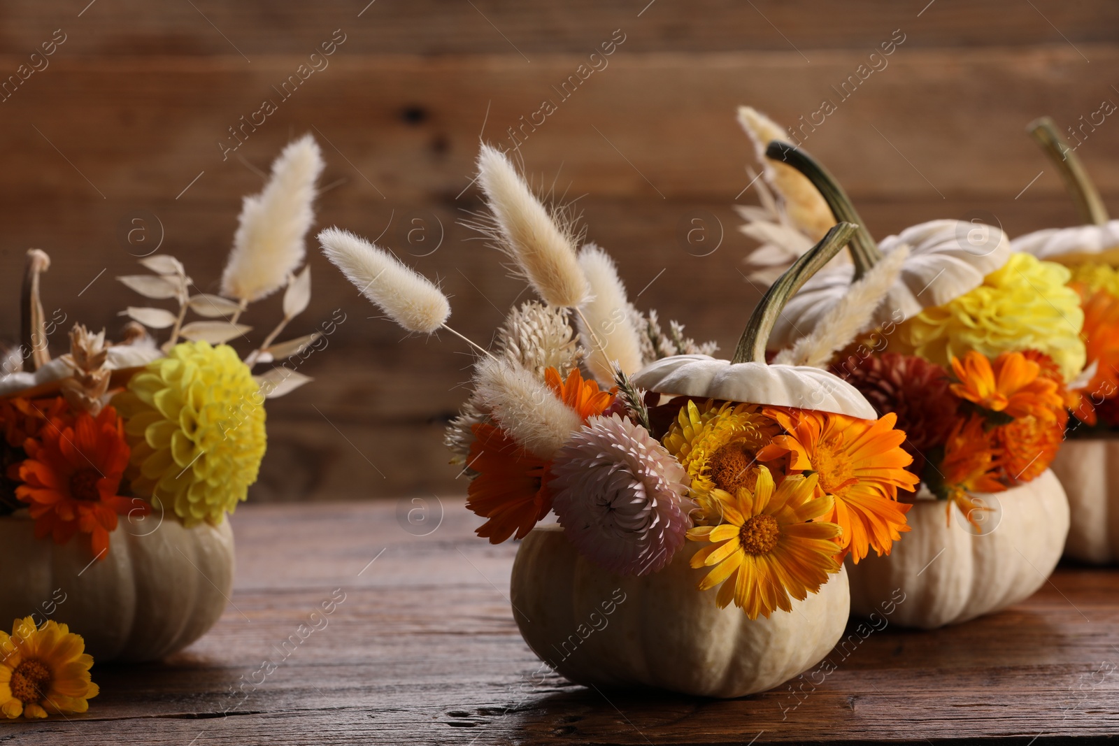 Photo of Composition with small pumpkins, beautiful flowers and spikelets on wooden table, closeup