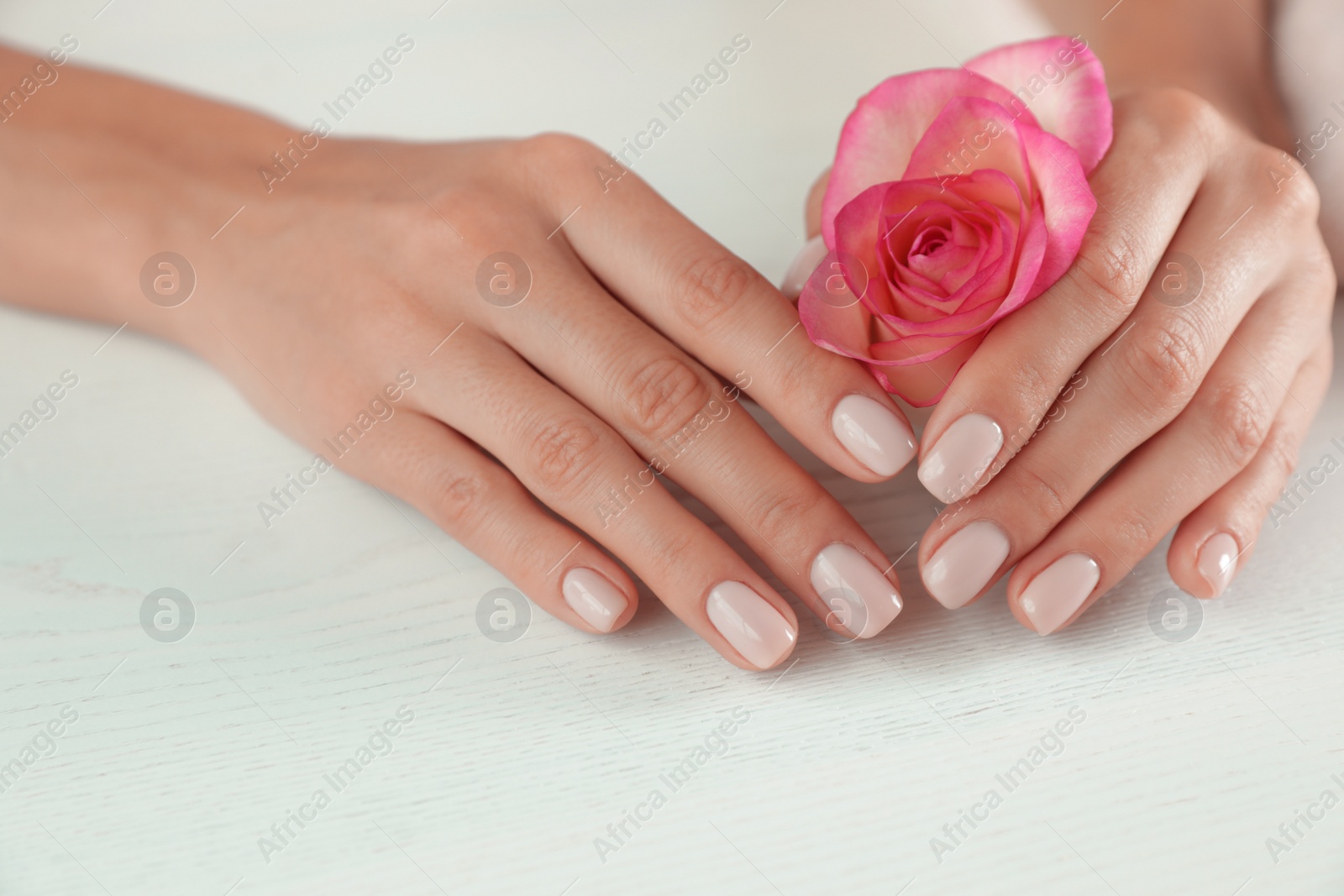 Photo of Woman holding flower at table, closeup. Spa treatment