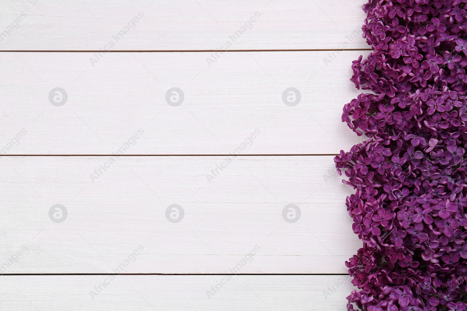 Photo of Beautiful lilac flowers on white wooden background, top view with space for text