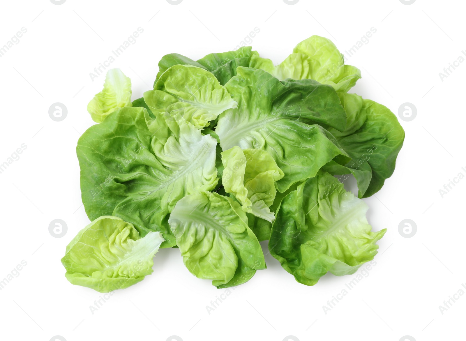 Photo of Fresh green butter lettuce leaves isolated on white, top view