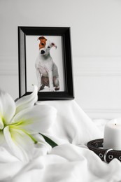 Frame with picture of dog, collar, burning candle and lily flower on white cloth, closeup. Pet funeral