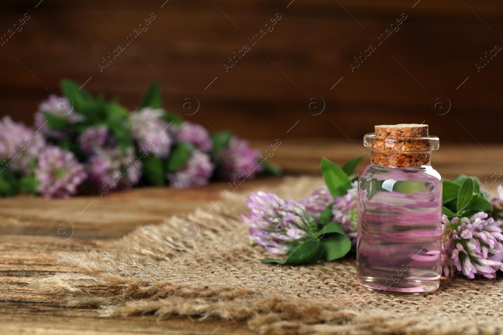 Photo of Beautiful clover flowers and bottle of essential oil on wooden table, space for text