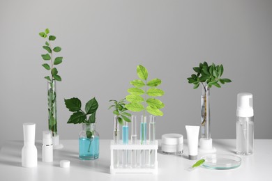 Many containers and glass tubes with leaves on white table against light grey background