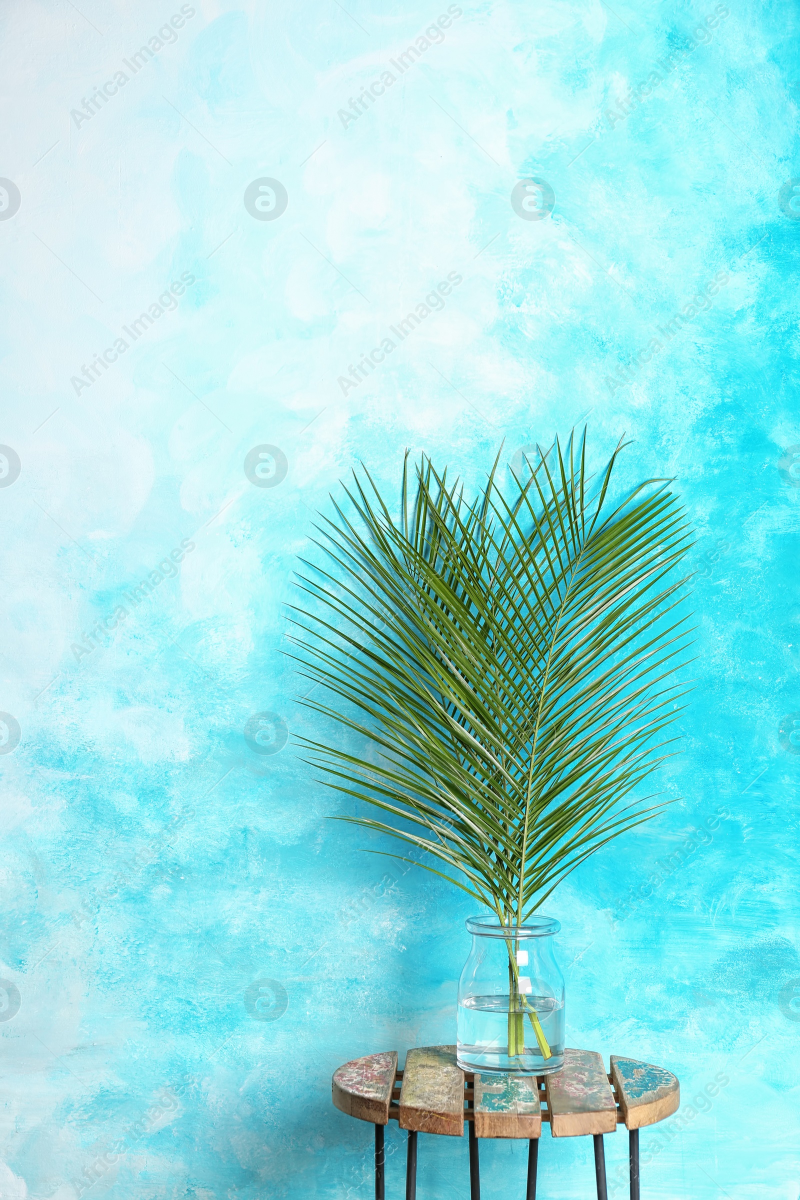 Photo of Vase with tropical date palm leaves on table near color wall