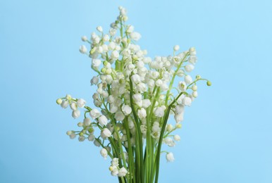 Beautiful lily of the valley flowers on light blue background, closeup