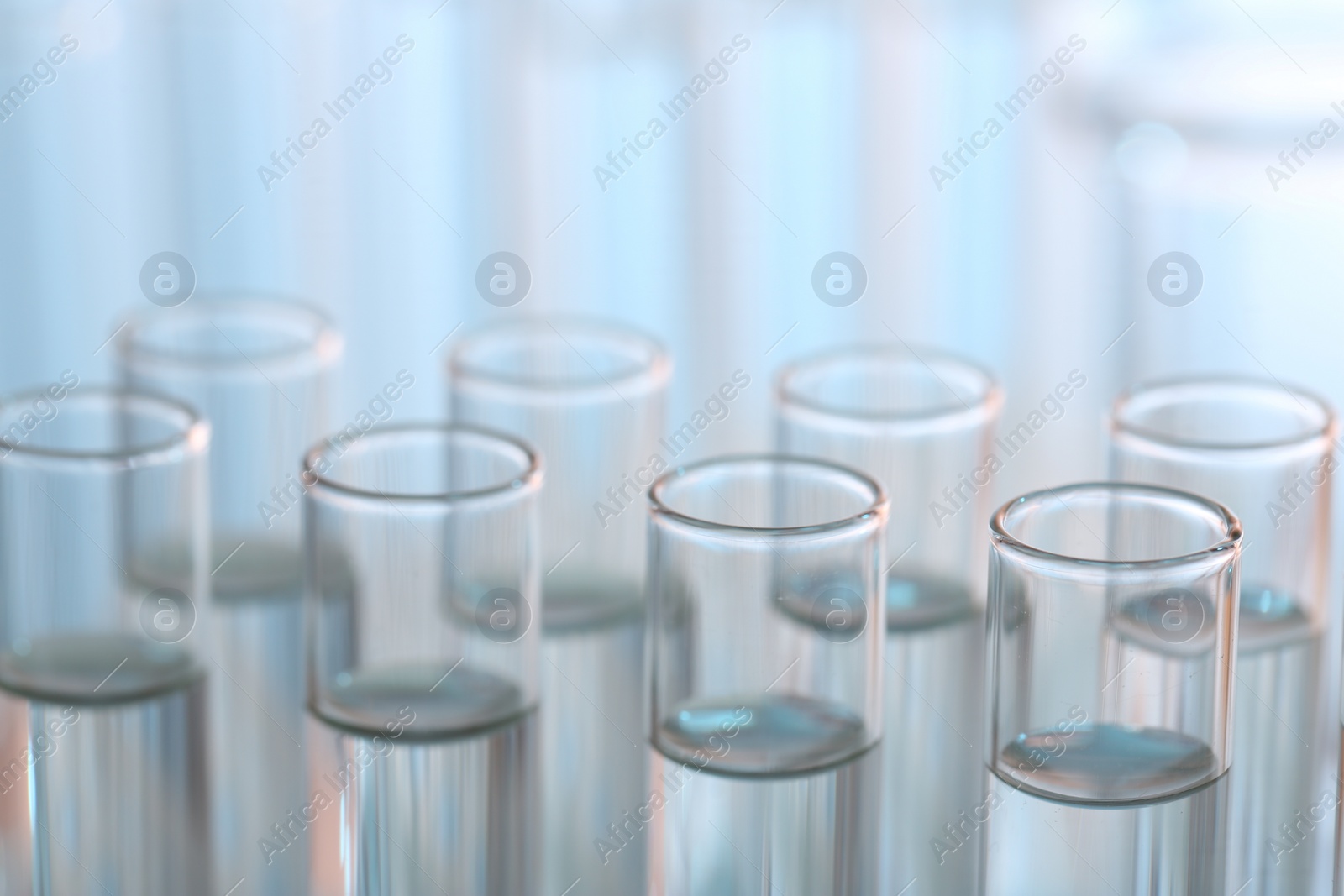 Photo of Laboratory analysis. Many glass test tubes on blurred background, closeup