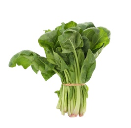 Bundle of fresh spinach isolated on white