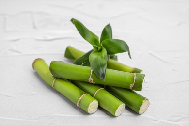 Photo of Pieces of beautiful green bamboo stems on white textured background
