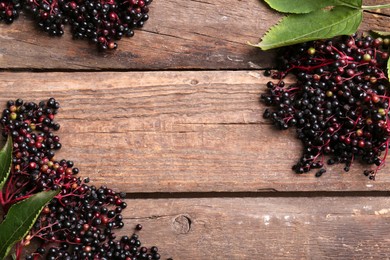 Photo of Tasty elderberries (Sambucus) on wooden table, flat lay. Space for text