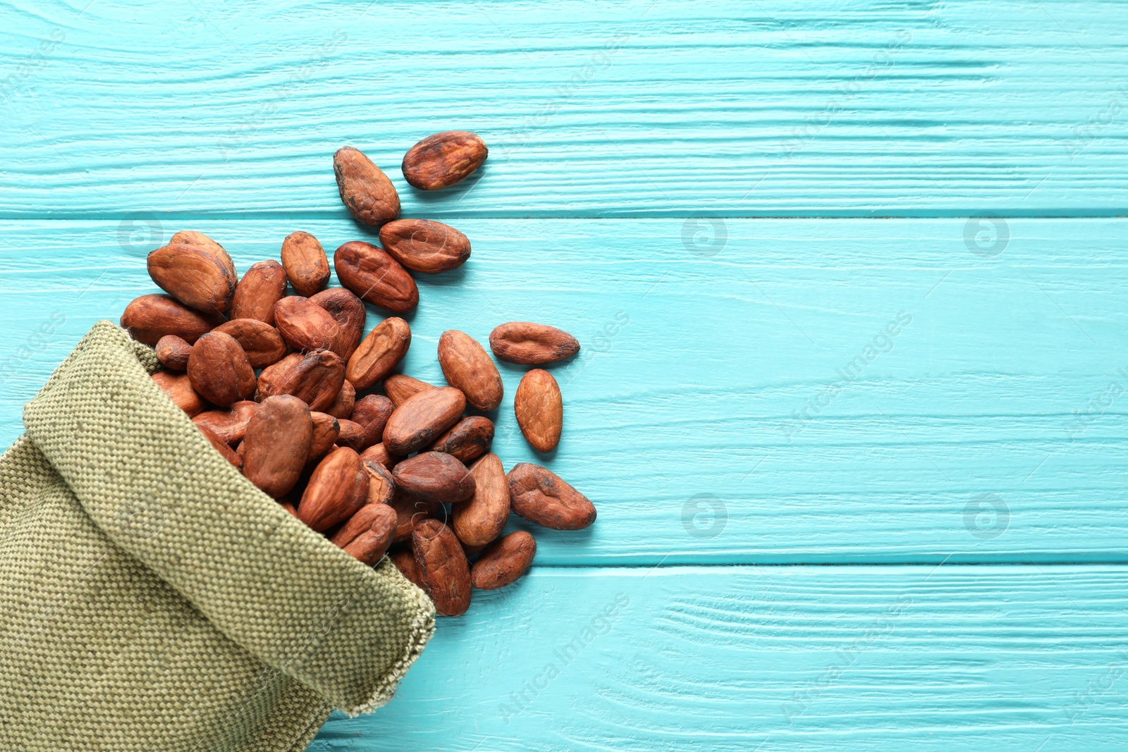 Photo of Cocoa beans in bag on blue wooden table, top view. Space for text