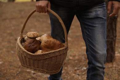 Photo of Man with basket full of wild mushrooms in autumn forest, closeup