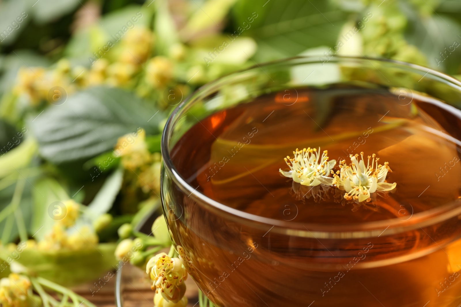 Photo of Cup of tea with linden blossom on blurred background, closeup