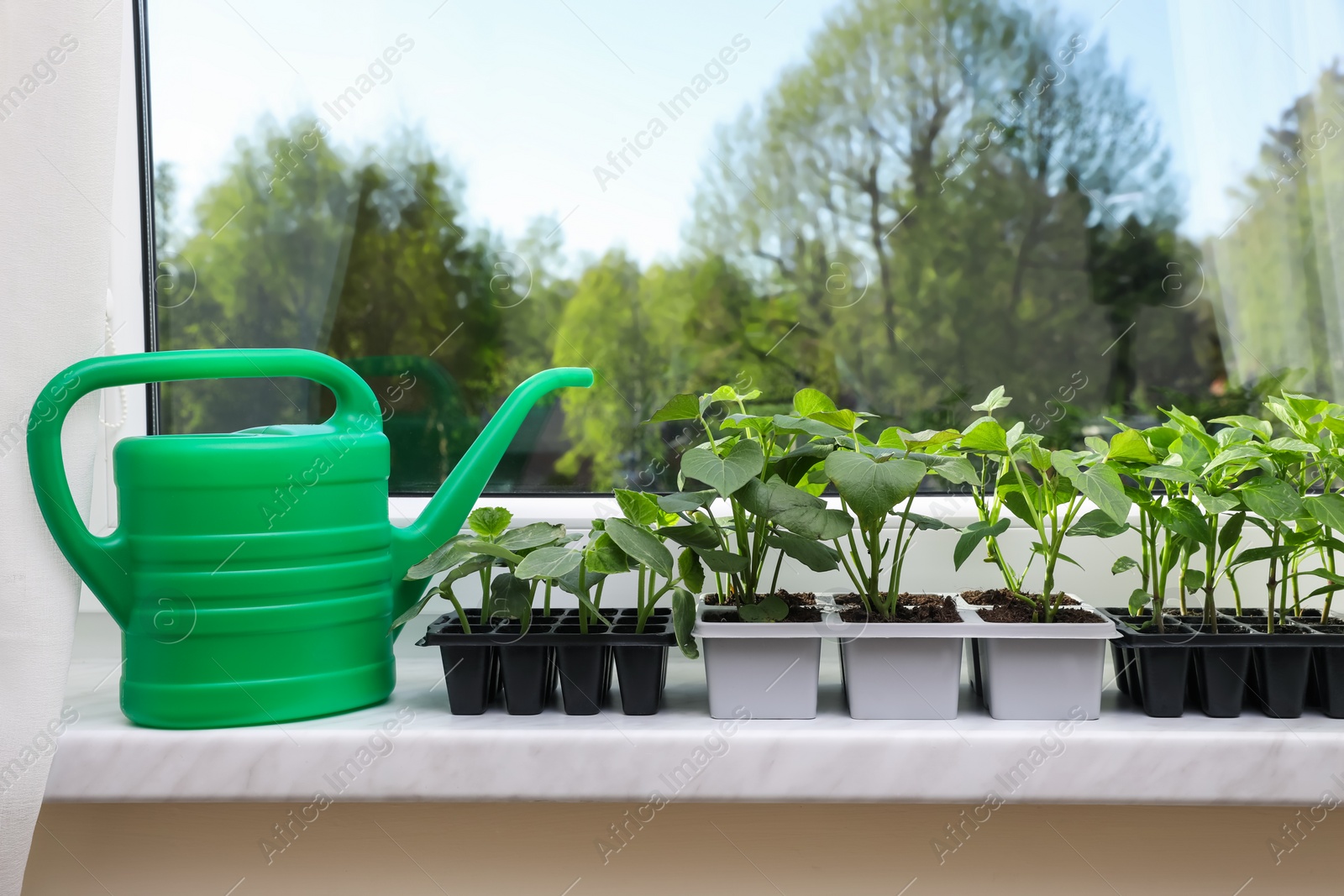 Photo of Seedlings growing in plastic containers with soil and watering can on windowsill indoors