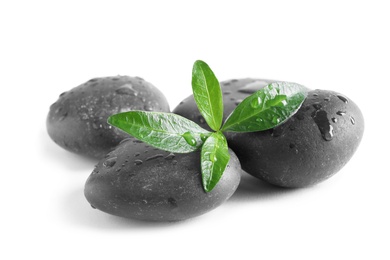 Photo of Spa stones and green leaves with water drops on white background