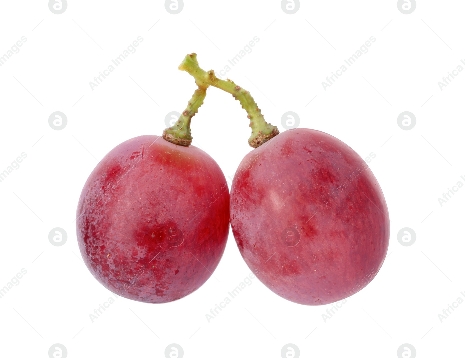 Photo of Two ripe red grapes isolated on white