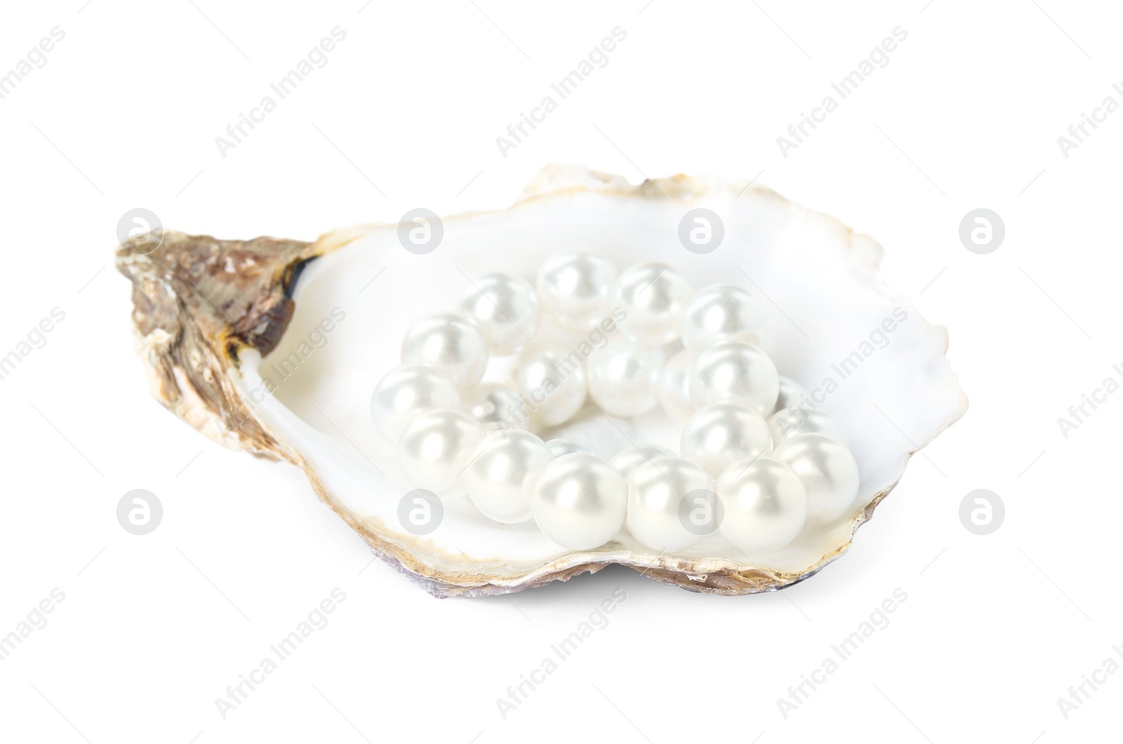 Photo of Oyster shell with pearls on white background