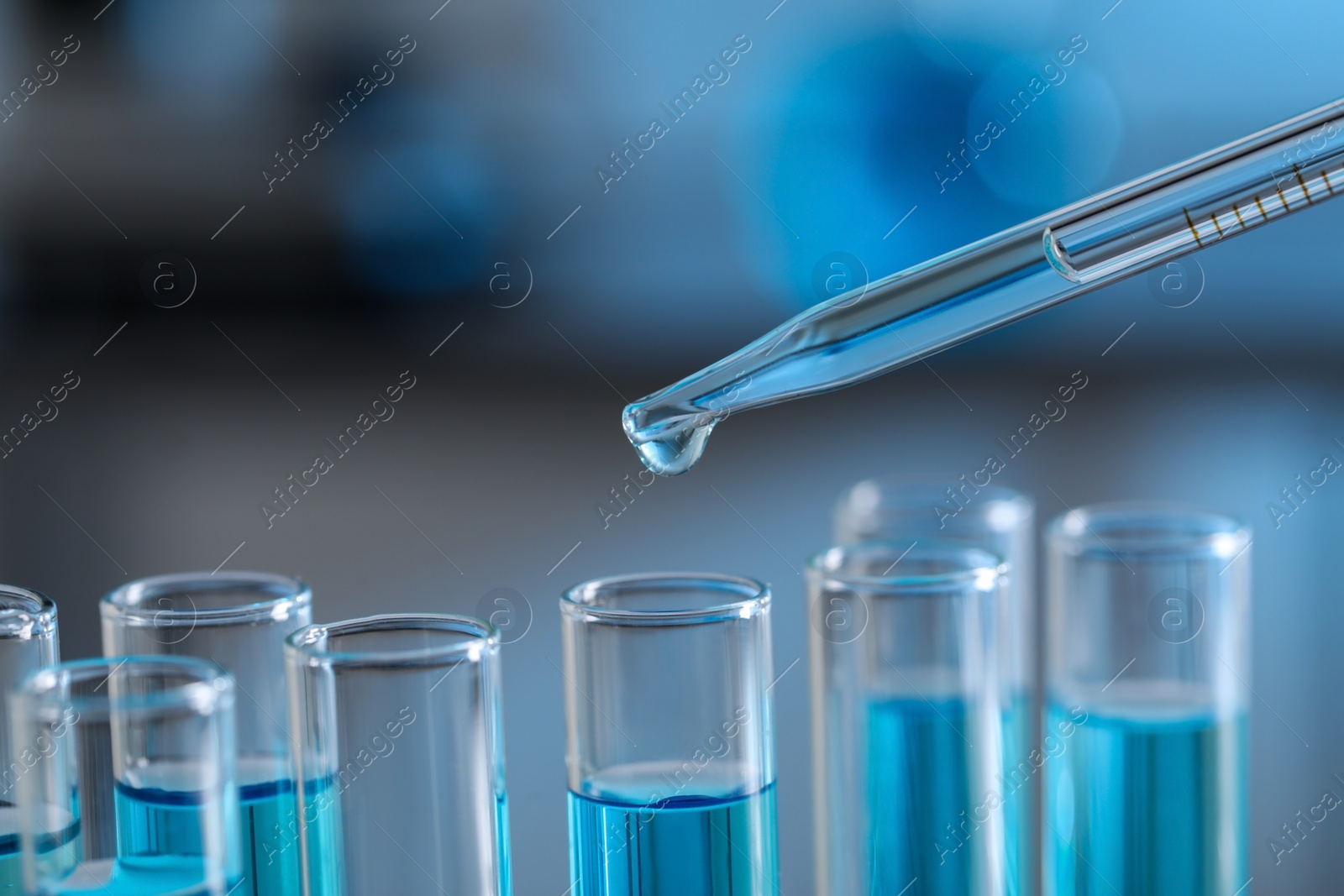 Photo of Dripping liquid from pipette into test tube in laboratory, closeup