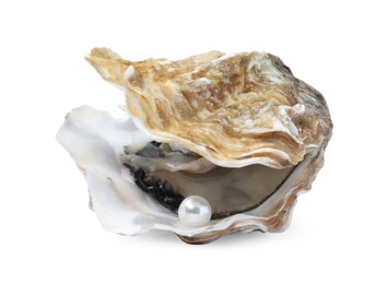 Photo of Open oyster with pearl isolated on white