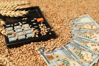 Photo of Dollar banknotes, calculator and wheat ears on grains, closeup. Agricultural business