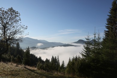 Photo of Picturesque view of fog in mountain forest