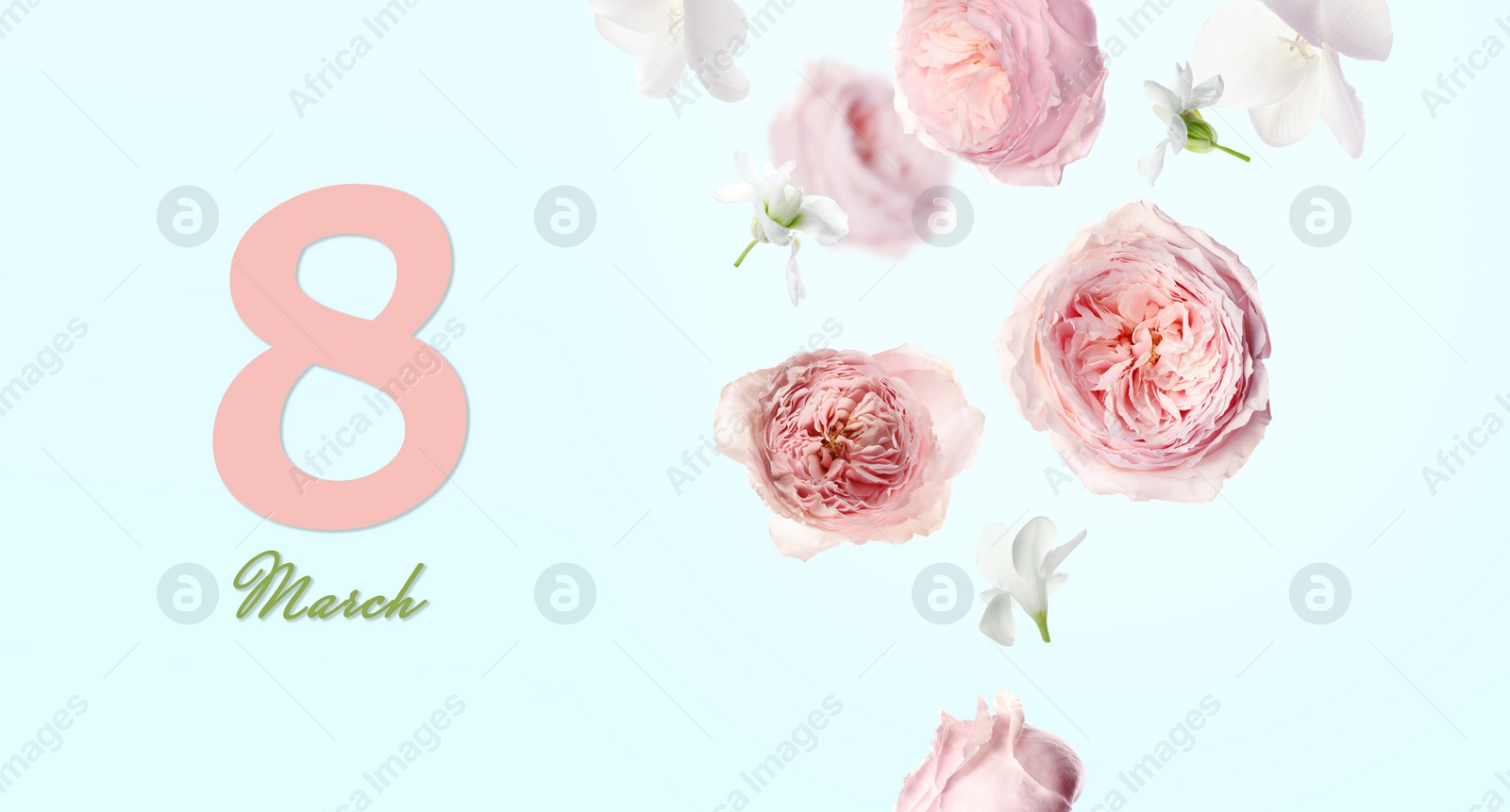 Image of March 8 - International Women's Day. Greeting card design with beautiful flowers on light blue background