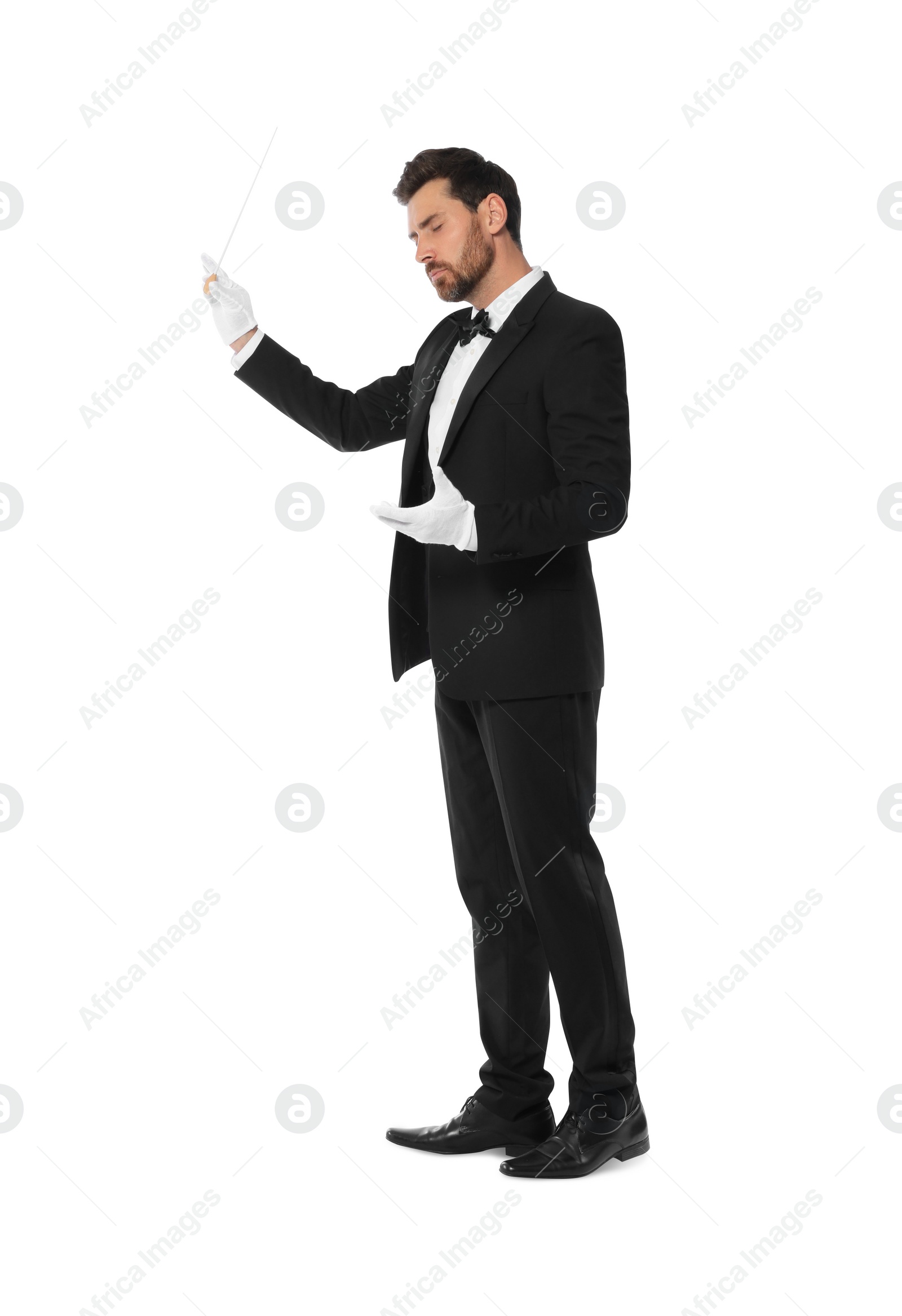 Photo of Professional conductor with baton on white background