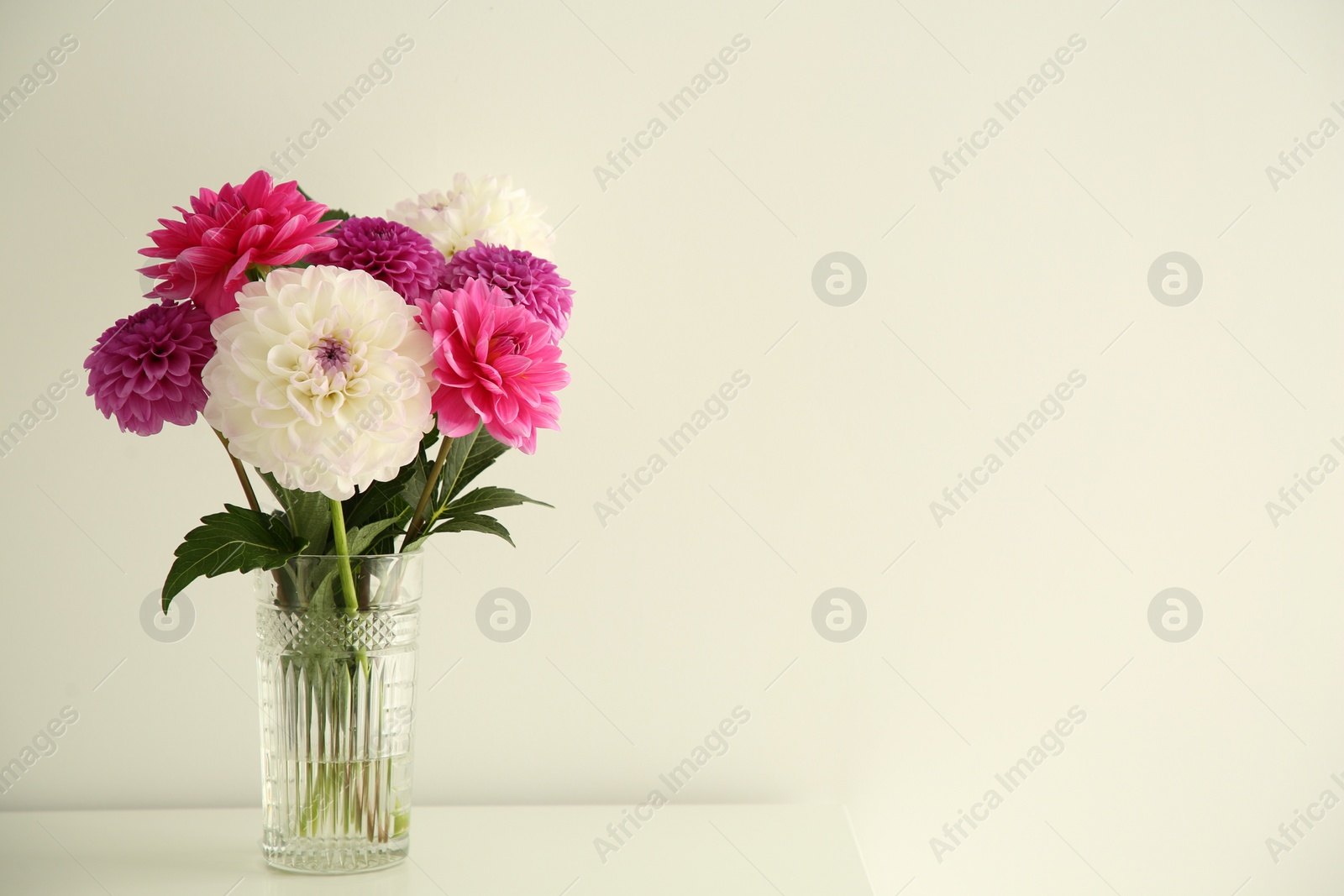 Bouquet of beautiful Dahlia flowers in vase on table near white wall, space for text Photo of Bouquet of beautiful Dahlia flowers in vase on table near white wall, space for text