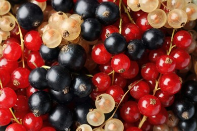 Photo of Different fresh ripe currants as background, top view
