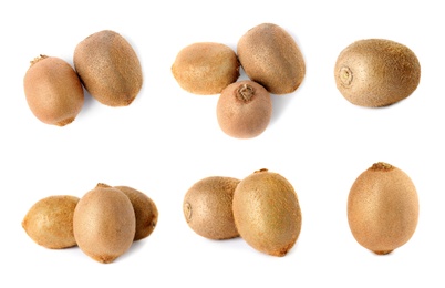 Image of Set with ripe kiwi fruits on white background