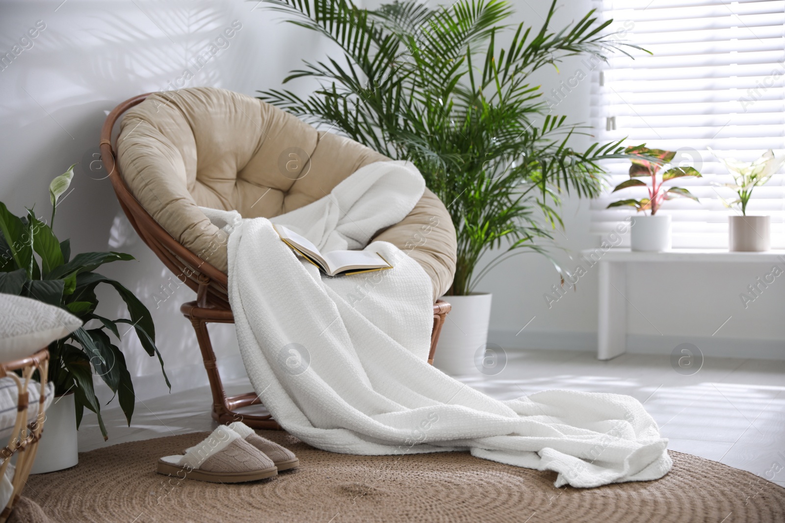 Photo of Stylish room interior with comfortable papasan chair and plaid