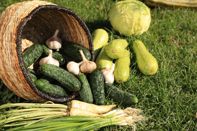 Photo of Scattered fresh ripe vegetables and wicker basket on green grass, closeup