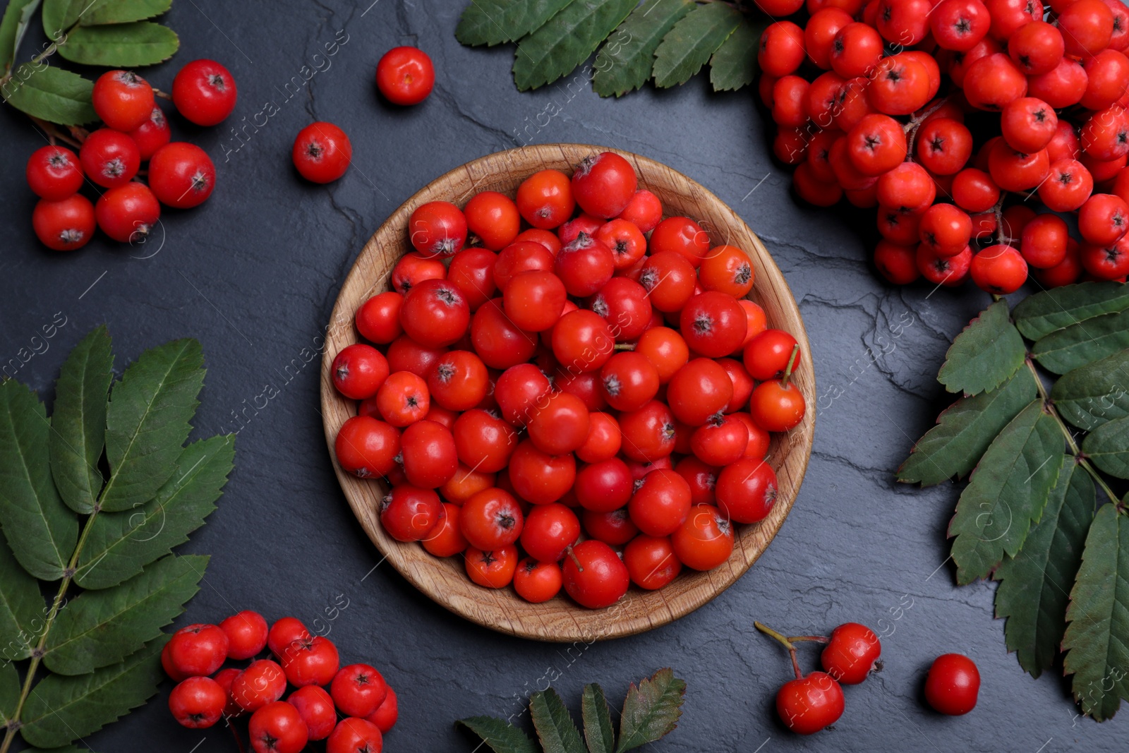 Photo of Fresh ripe rowan berries and leaves on black table, flat lay