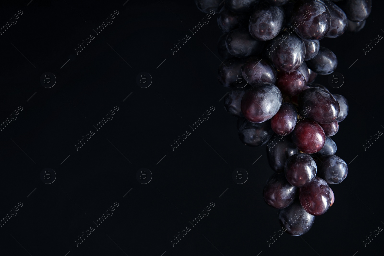 Photo of Fresh ripe juicy grapes and space for text on black background
