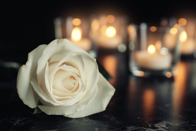 Photo of White rose and blurred burning candles on table in darkness, space for text. Funeral symbol