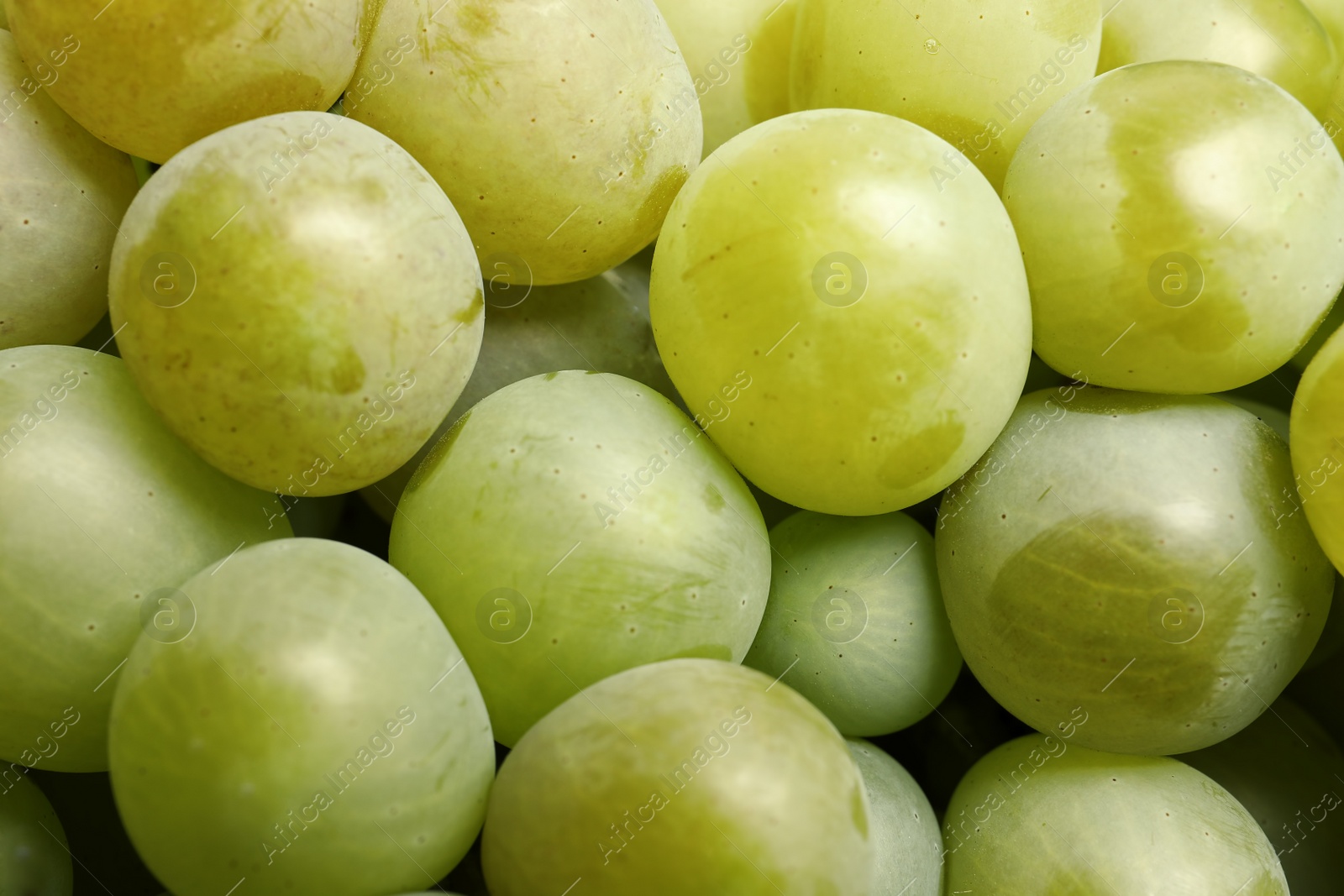 Photo of Bunch of green fresh ripe juicy grapes as background. Closeup view