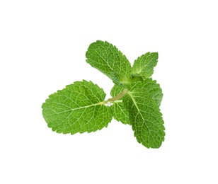 Leaves of fresh mint isolated on white