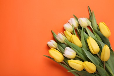 Beautiful yellow tulips on orange background, flat lay. Space for text