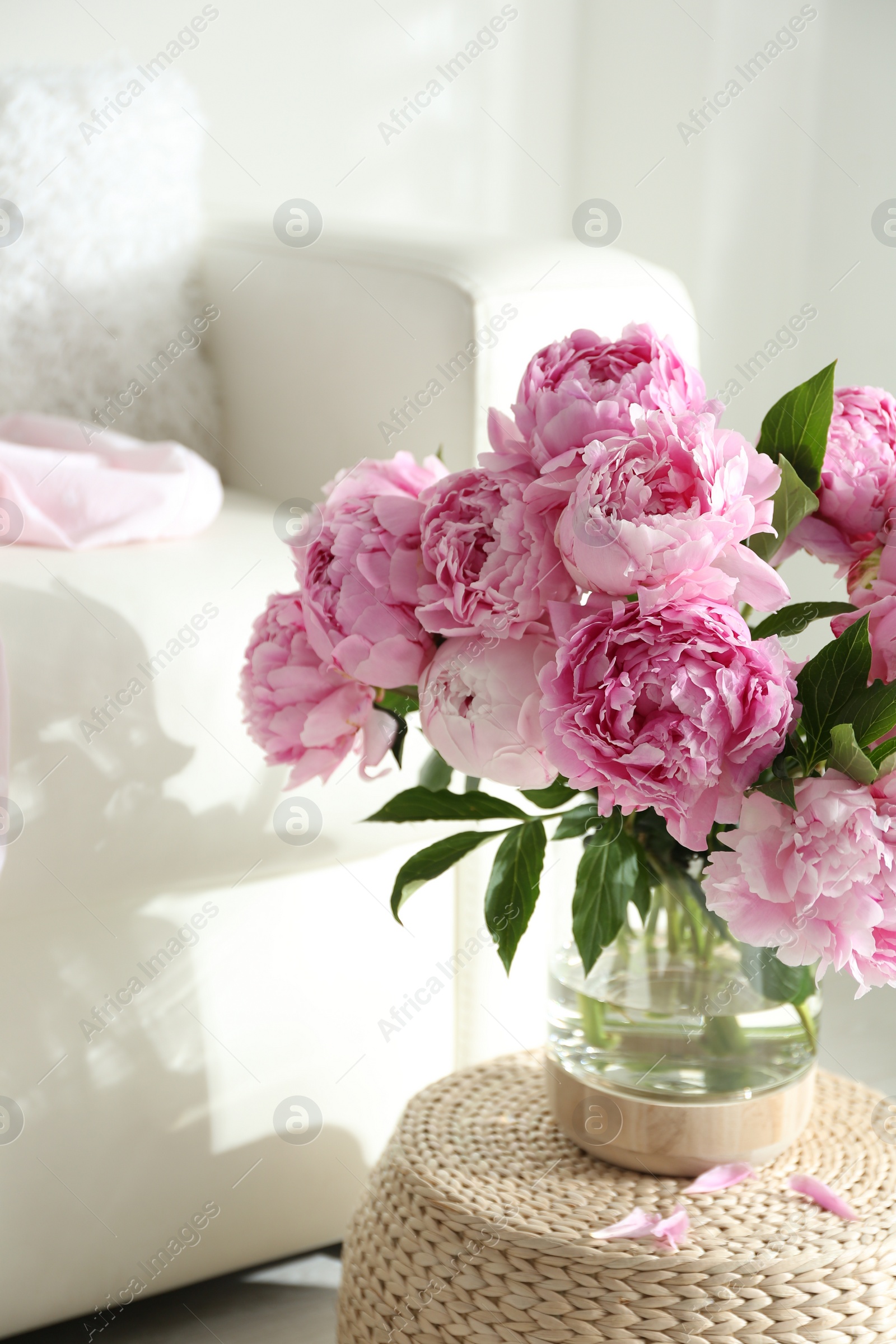 Photo of Bouquet of beautiful peonies on pouf indoors