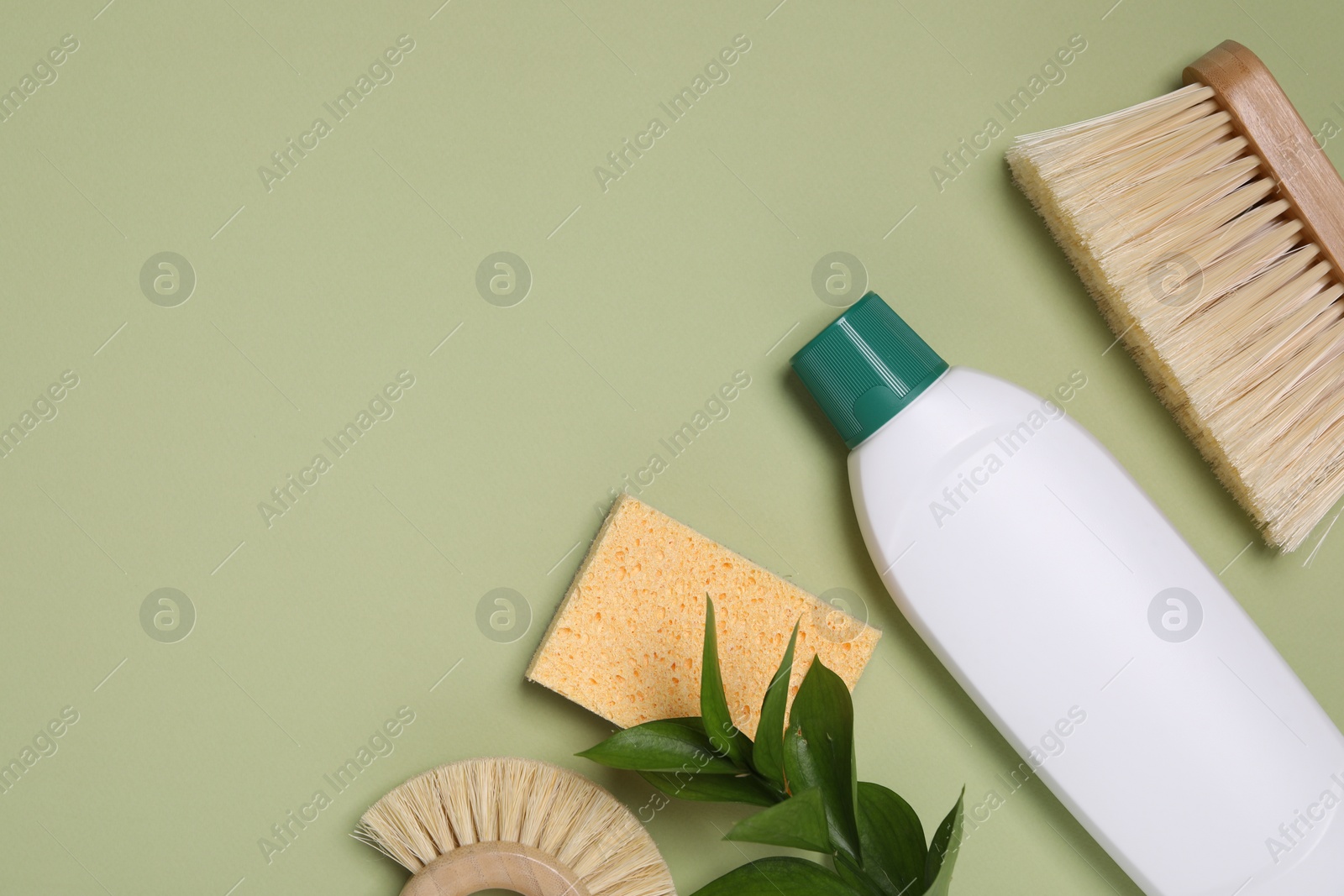 Photo of Bottle of cleaning product, brushes, sponge and decorative branch on green background, flat lay. Space for text