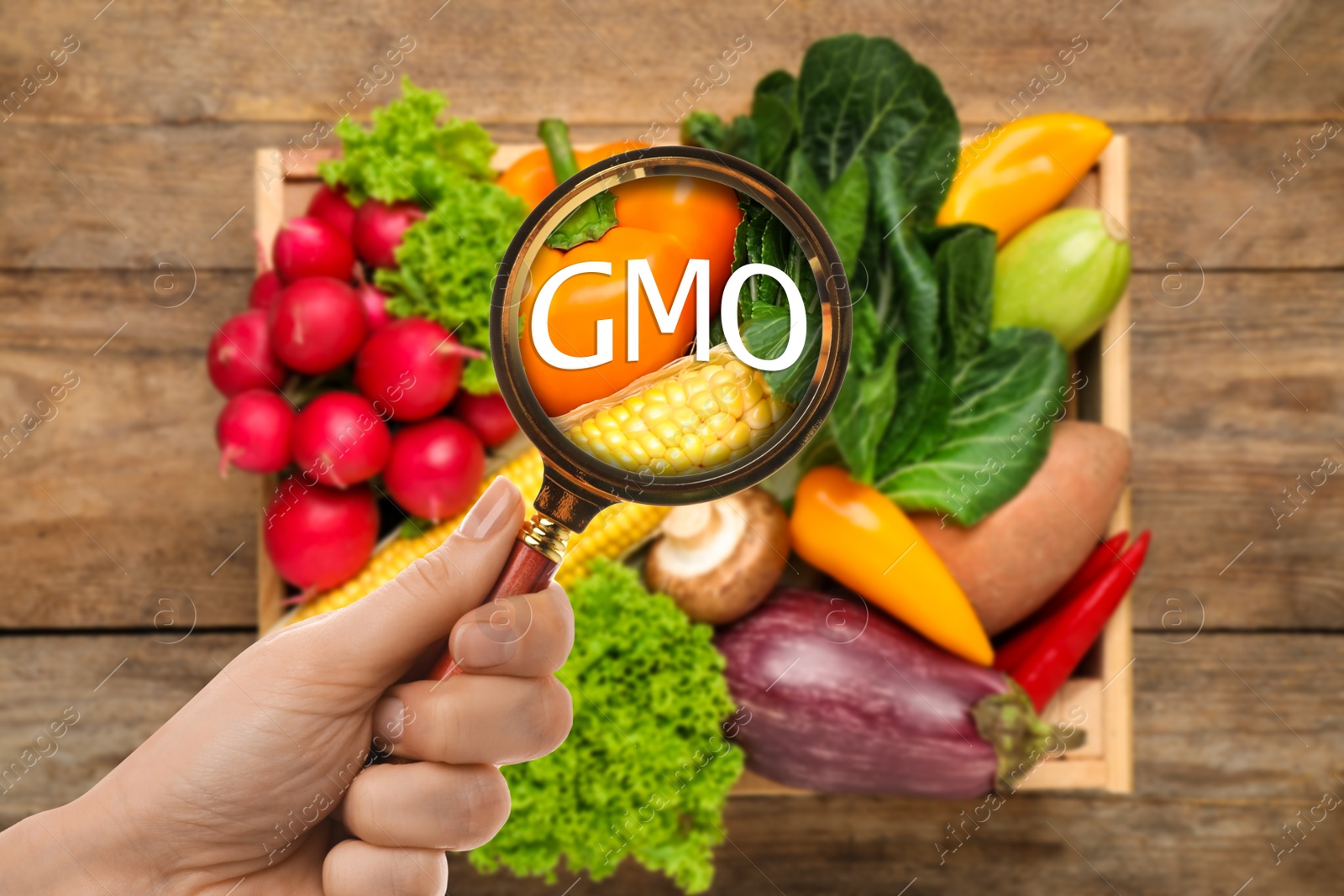 Image of Woman holding magnifying glass over fresh vegetables on wooden table, top view. GMO concept