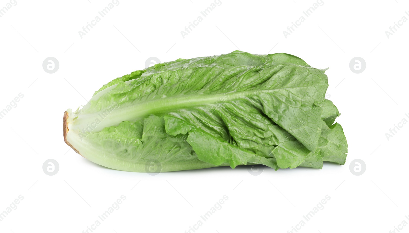 Photo of Fresh green romaine lettuce isolated on white