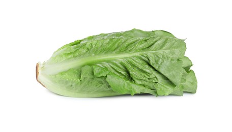 Photo of Fresh green romaine lettuce isolated on white