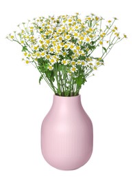 Photo of Pink vase with beautiful chamomile flowers isolated on white