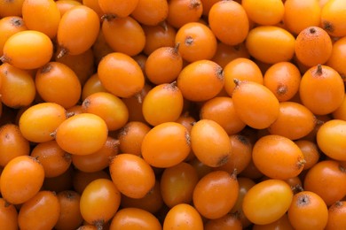 Fresh ripe sea buckthorn berries as background, top view