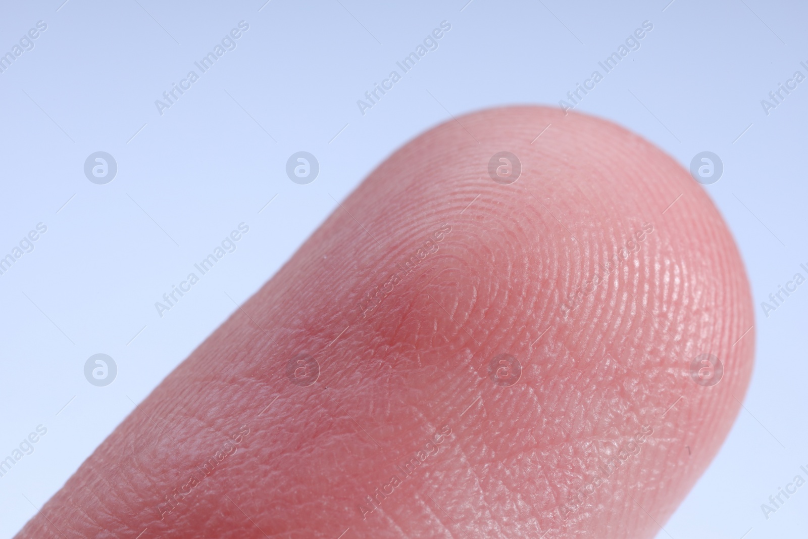 Photo of Finger with friction ridges on light blue background, macro view