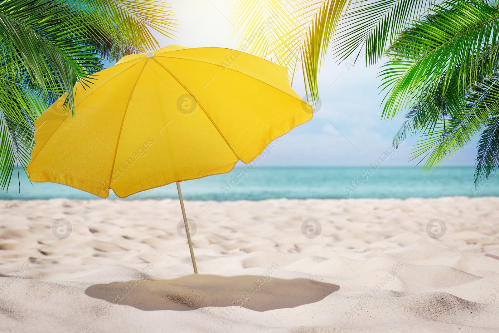 Image of Open big beach umbrella on sandy coast 